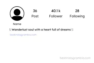 Aesthetic Bio for Instagram