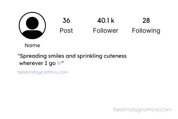 Cute Instagram Bio