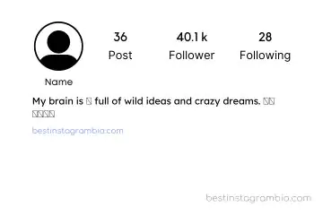 Funny Instagram Bio for Boys