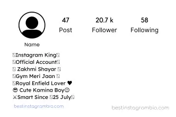 Instagram VIP Bio