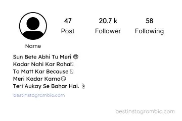 Stylish Bio for Instagram