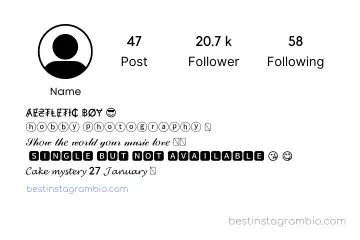 Instagram Bio for Boys in Stylish Font